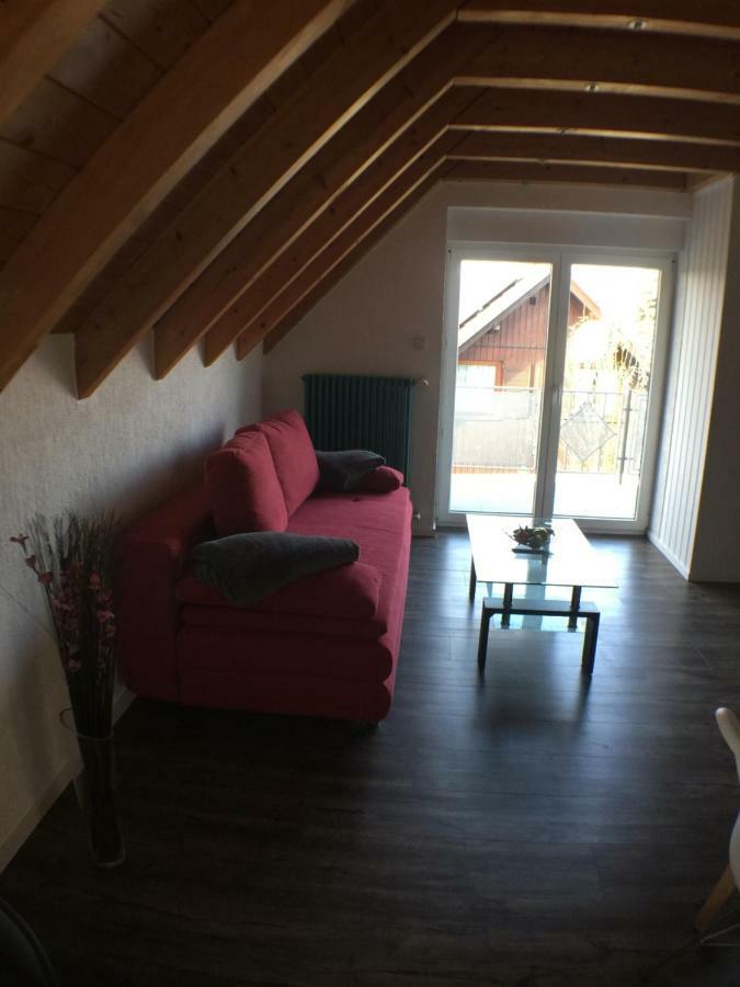 Ferienwohnung Alte B3 Ringsheim Luaran gambar